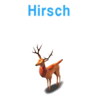 Hirsch            